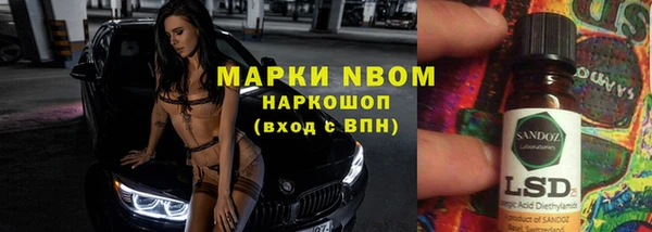 крисы Магас