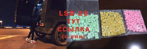 крисы Магас
