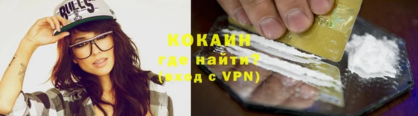 крисы Магас