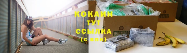 крисы Магас
