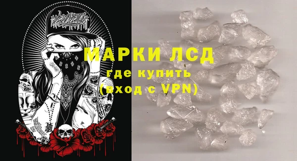 крисы Магас