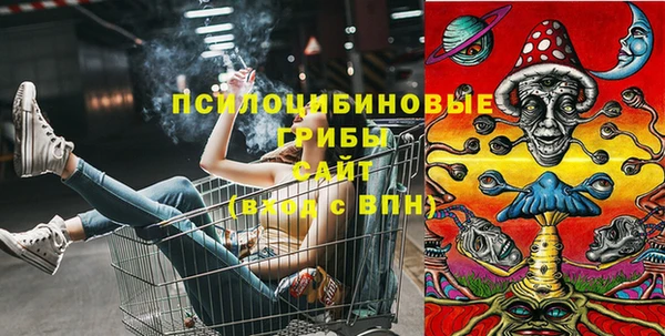 крисы Магас