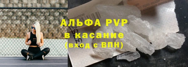 крисы Магас