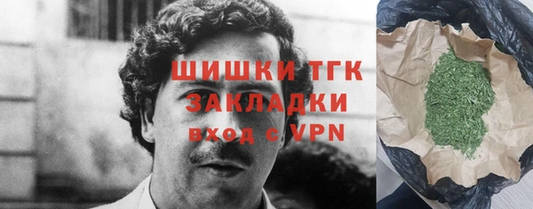 крисы Магас